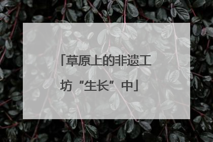 草原上的非遗工坊“生长”中